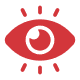 Vision Icon